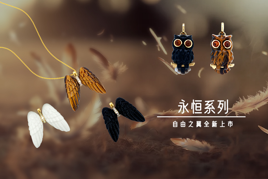 小翅膀
